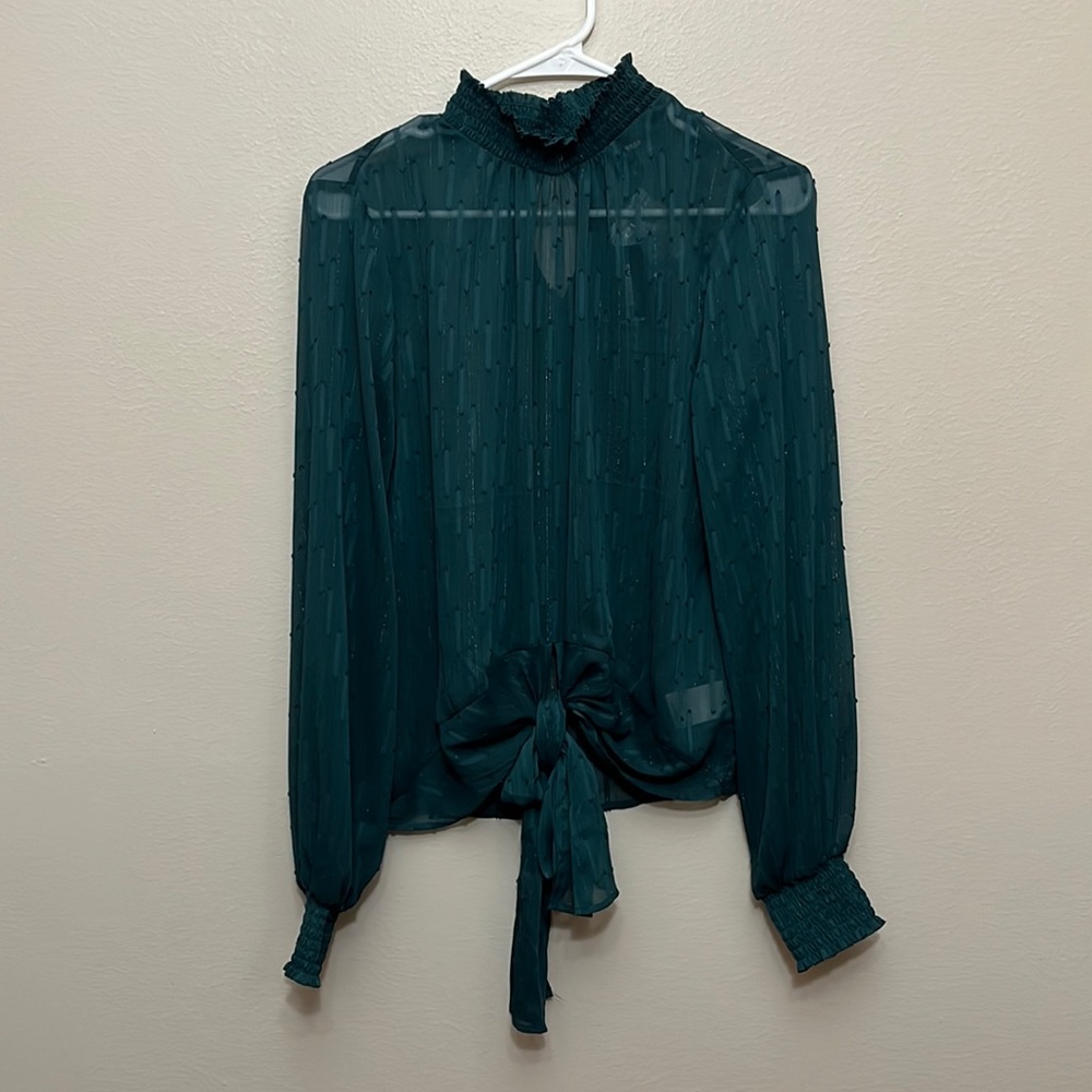 Sheer Emerald Green Express Top